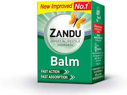 Indiase kruidenbalsem Zandu Balm potje